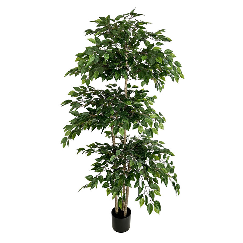 70in Ficus Artificial Tree Lar - Dracaena Marginata review and price