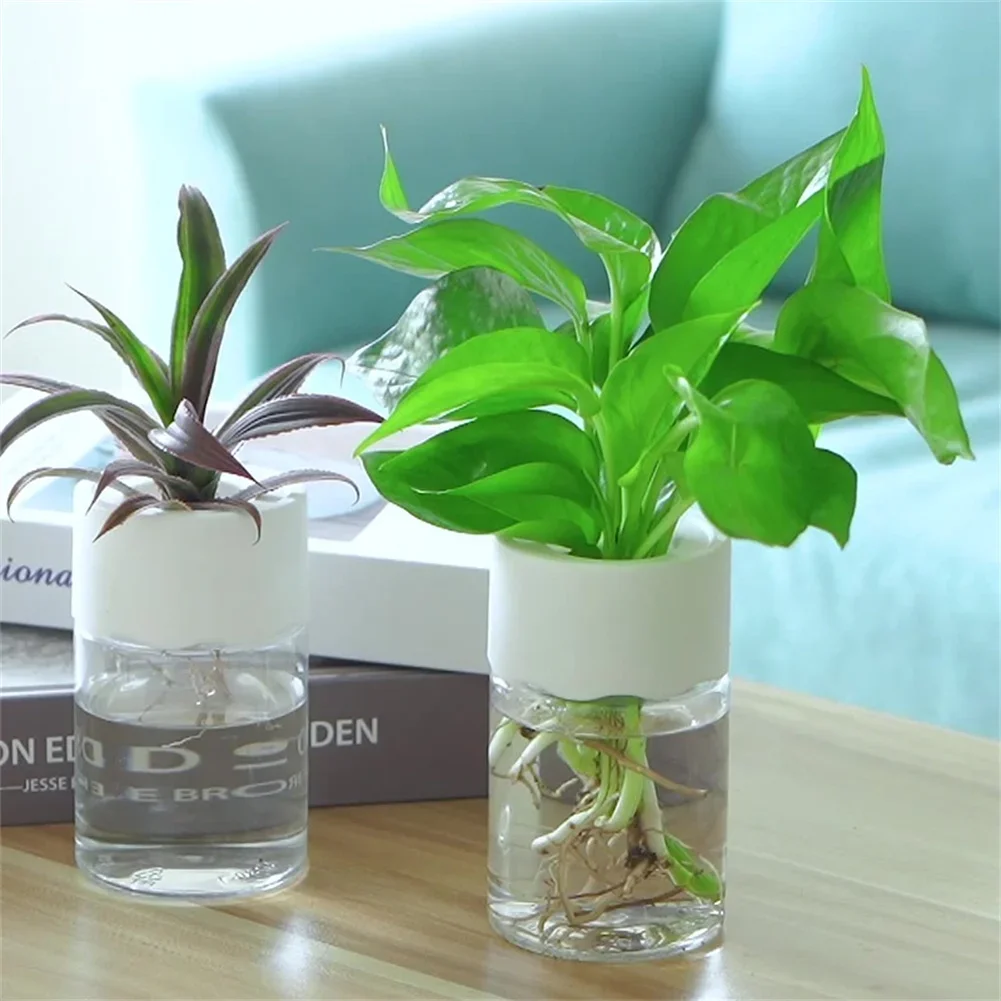 Mini Hydroponic Flower Pot Tra - Aloe Vera Pot review and price