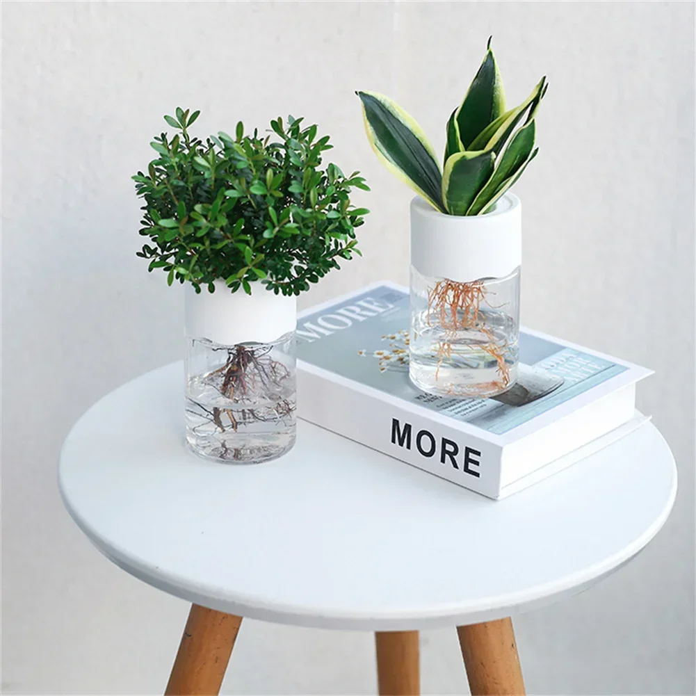 Mini Hydroponic Flower Pot Tra - Aloe Vera Pot review and price