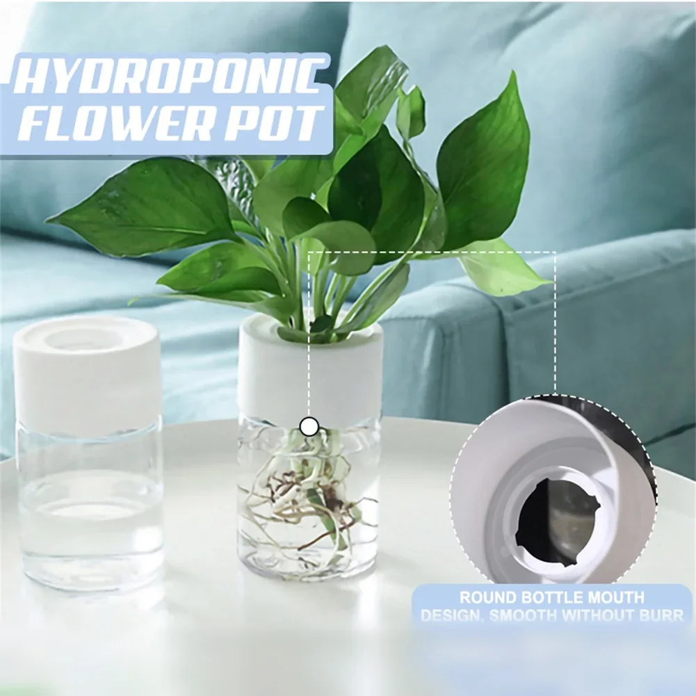 Mini Hydroponic Flower Pot Tra - Aloe Vera Pot review and price