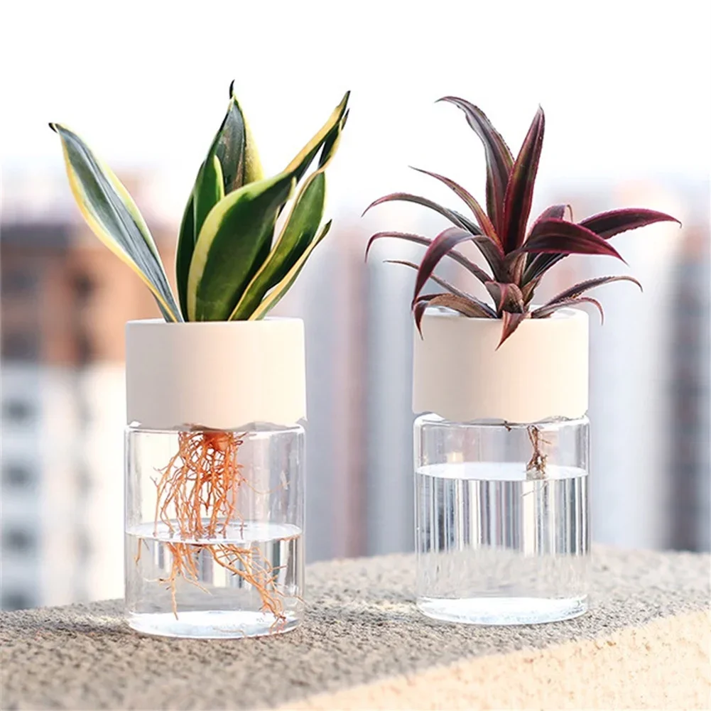 Mini Hydroponic Flower Pot Tra - Aloe Vera Pot review and price