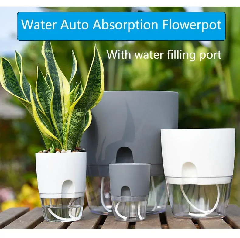 Transparent Double Layer Plast - Aloe Vera Pot review and price
