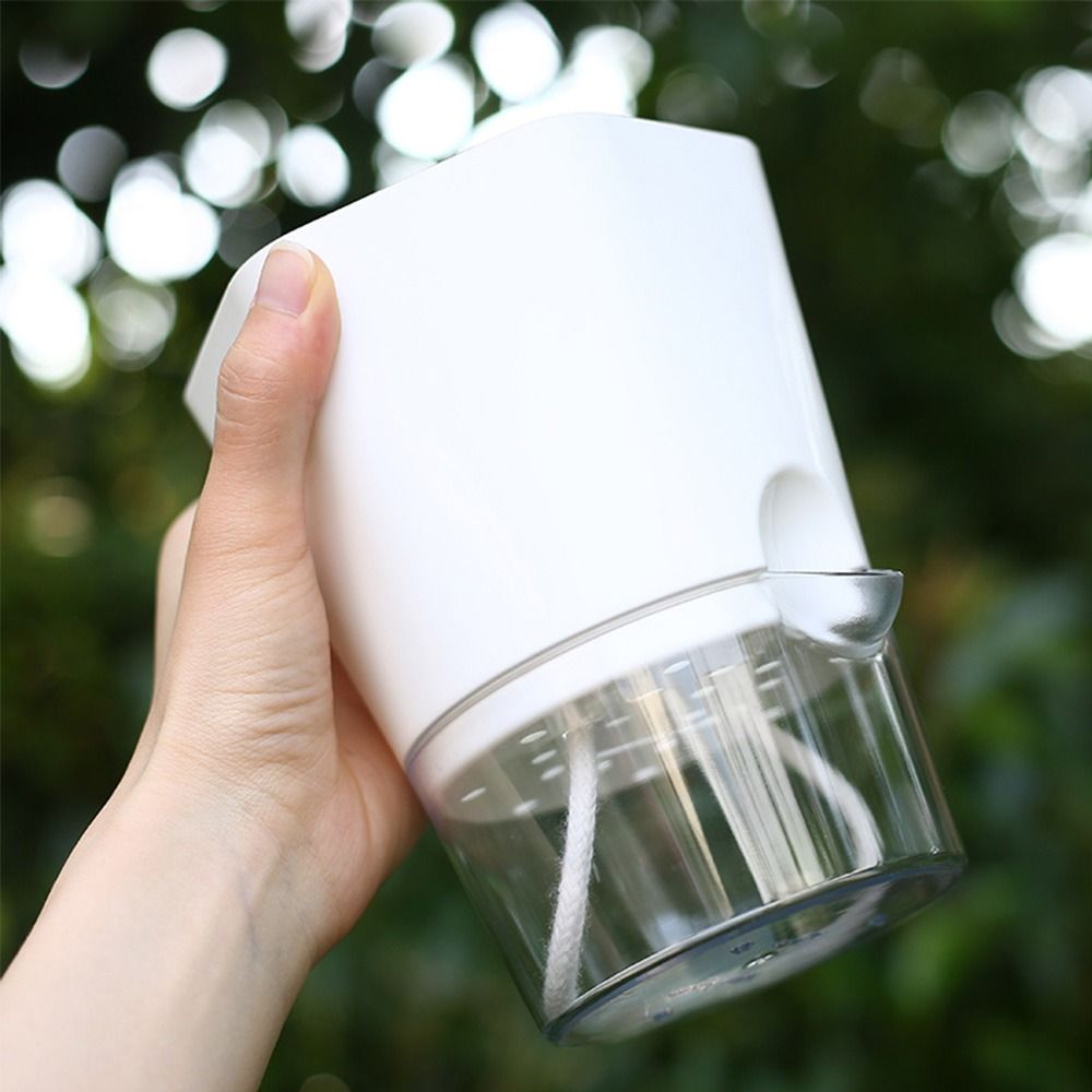 Transparent Double Layer Plast - Aloe Vera Pot review and price