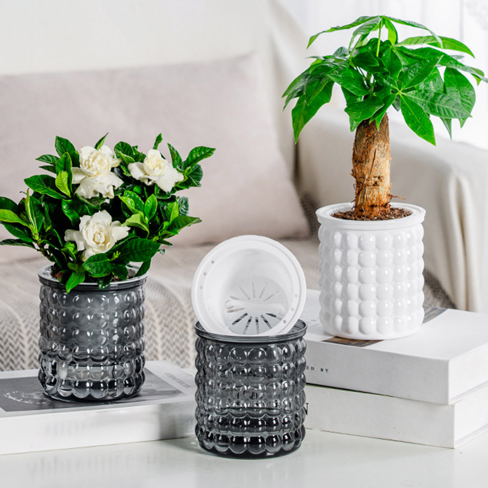 New Self Watering Hydroponic P - Aloe Vera Pot review and price