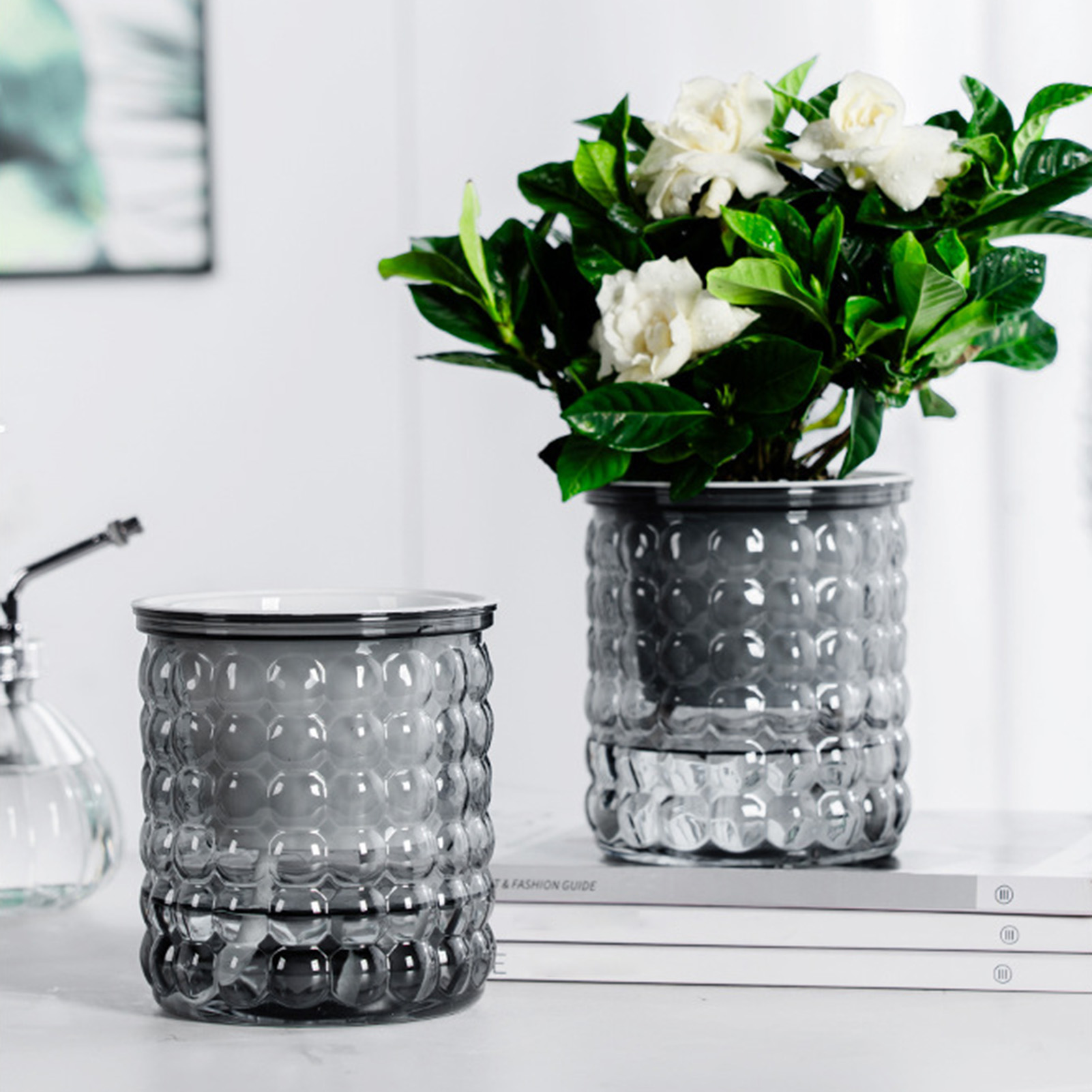 New Self Watering Hydroponic P - Aloe Vera Pot review and price
