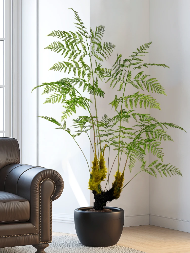 Large Simulated Golden Monkey  - Dracaena Marginata review and price
