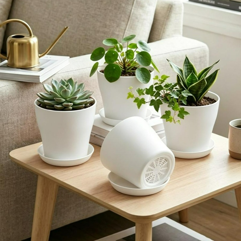 Plant Pot Set with Drainage Ho - Aloe Vera Pot review and price